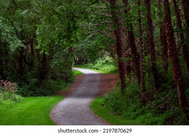 Small Path In A Park For Running And Cycling. Dark Trees And Green Grass. S Shaped Foot Path. Nobody. Calm Mood.