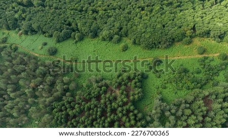 Small path through the forest seen from above. Dirt road in the middle of the forest on top of a mountain.