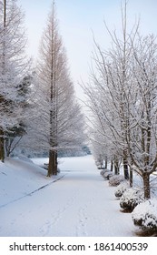 a small pathway in the winter