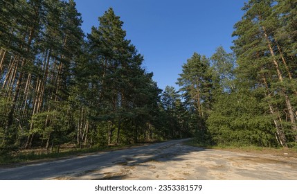 Small paved road through the forest on a clear day against a blue sky. A beautiful forest road on a sunny day surrounded by evergreen pine trees. Fairytale road through the green forest. - Powered by Shutterstock