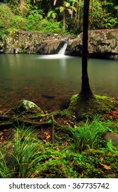 A Small Peaceful Pool With A Waterfall In A Jungle At Warringa Pool, Springbrook National Park, Goldcoast Hinterland, Queensland, Australia