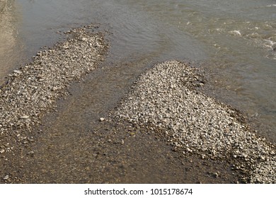 Small pebbels in the river