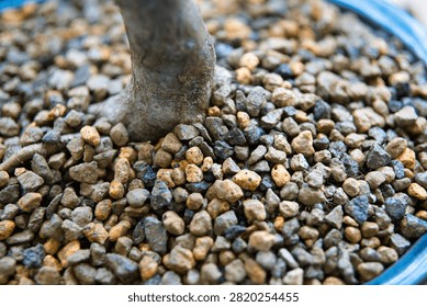 Small pebbles surround a tree's base. Roots anchor into gravelly soil. Blue pot frames the earthy composition. Natural, grounded, quiet, and resilient. Ideal for garden, nature, or wellness themes