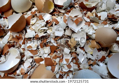 Small pieces of eggshell piled together in the middle.A large piece of shell is placed beside it.Focus in the center of the image
