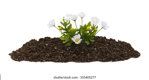 Small Pile Of Dirt With Fake Flowers Isolated On White Background.