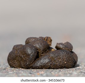 Small pile of horse manure on a road. The view is from road level on the side. There is room for text above.