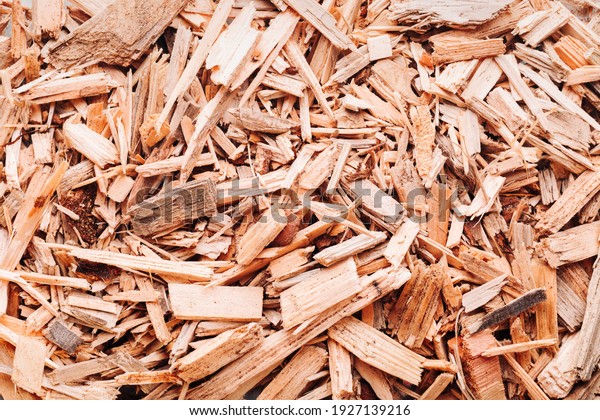Small pile of wood chips\
background, top view. Waste from the woodworking industry, fuel and\
raw materials for heating solid fuel industrial boilers on wood\
chips