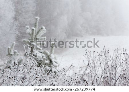 Similar – Image, Stock Photo Wwwwchsch Nature Landscape