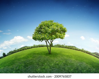 Small Planet Earth In Environmental Conservation Or Eco Friendly Concept. Alone Single Tree On Green Grass Lawn Garden With Forest And Starry Blue Sky Background.