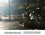 Small plant in glass vase on wooden surface with moody backlight, minimalist still life composition