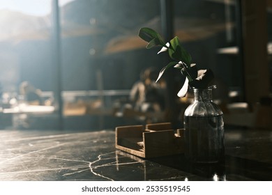 Small plant in glass vase on wooden surface with moody backlight, minimalist still life composition - Powered by Shutterstock