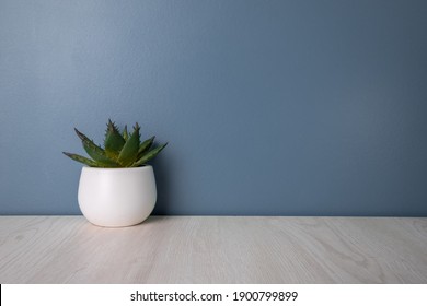 
Small Plant On The Desk