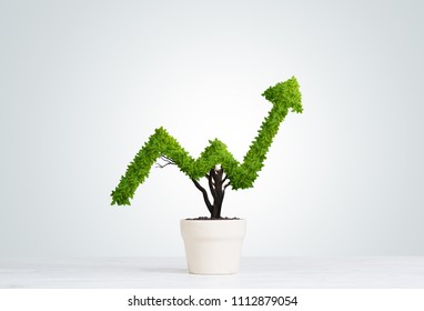 Small Plant In Pot Shaped Like Growing Graph