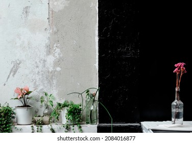 Small Plate In Pot Decorated In Front Of The Black And White Wall. Interior Design In Cafe Style. Copy Space Photo