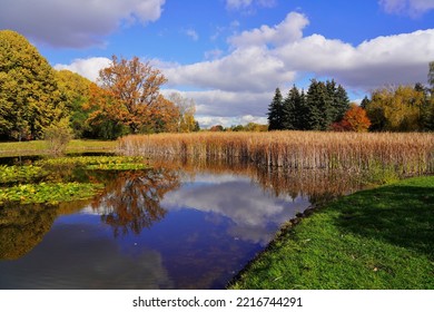 Small pond in the autumn park - A beautiful autumn day .Amazing  autumn landscape -  - Shutterstock ID 2216744291