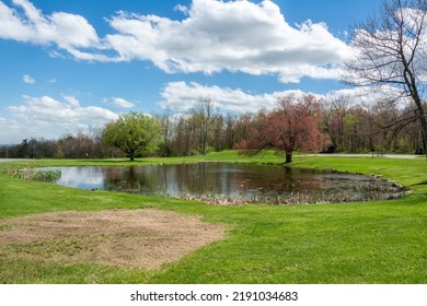 Small Pond In The High Point State Park In New Jersey, USA.