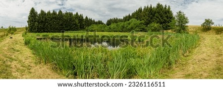 small pond in mountain forest panorama