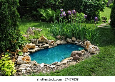 small pond on a summer day in the garden