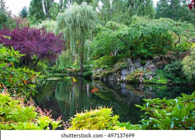 In a small pond, overgrown with lilies, reflected trees and flowers. Amazing floral park Butchart Gardens on Vancouver Island
