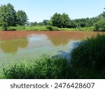 small pond with red algae
