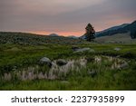 Small Pond At Sunrise In Yellowstone along the Specimen Ridge Trail