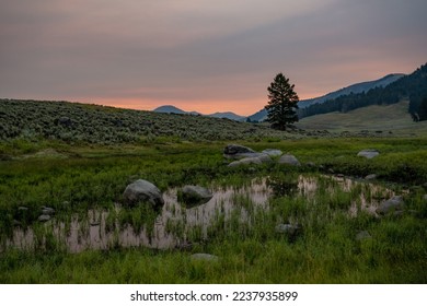 Small Pond At Sunrise In Yellowstone along the Specimen Ridge Trail - Shutterstock ID 2237935899