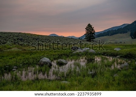 Small Pond At Sunrise In Yellowstone along the Specimen Ridge Trail