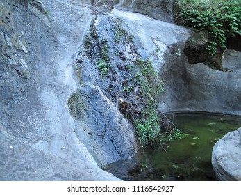 Small Pool in the Forest