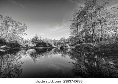 A small pool of a forest river, black and white