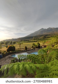Small pool with stone deck surrounded by ferns and grassy field, overlooking lush mountains under partly cloudy sky.