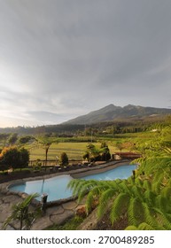 Small pool with stone deck surrounded by ferns and grassy field, overlooking lush mountains under partly cloudy sky.