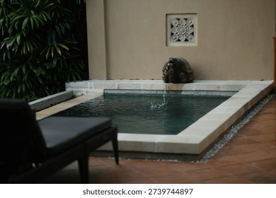 Small Pool with Turtle Sculpture Spouting Water