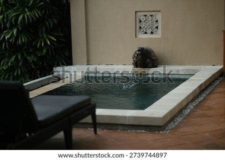 Small Pool with Turtle Sculpture Spouting Water