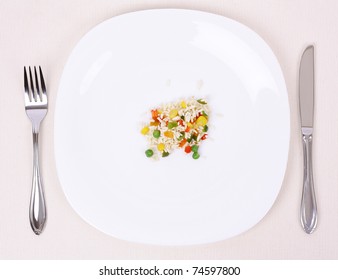 Small Portion Of Food On A Big Plate