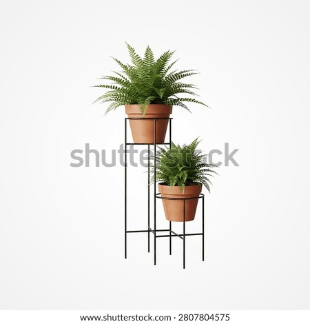 Small potted norfolk pine tree in wooden planter on stool