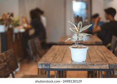 Small potted plant on a wooden table in a cozy café setting. - Powered by Shutterstock