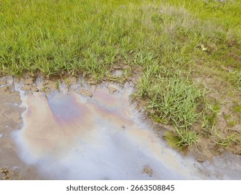 A small puddle on a grassy patch displays a rainbow-hued oily sheen, highlighting surface contamination. This close-up captures the subtle yet striking signs of environmental pollution.	