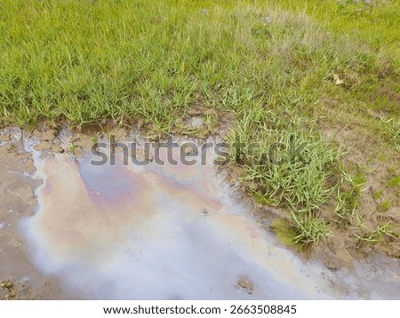 A small puddle on a grassy patch displays a rainbow-hued oily sheen, highlighting surface contamination. This close-up captures the subtle yet striking signs of environmental pollution.	