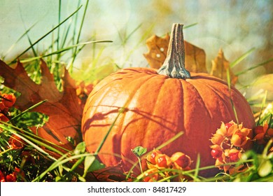 Small Pumpkin In The Grass With Vintage Color Feeling