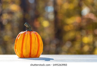 Small pumpkin outside on a fall forest background