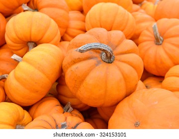 Small Pumpkins