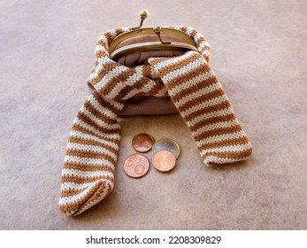 Small Purse In Winter Scarf Beside Euro Coins  