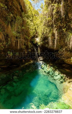 Small rain forest waterfall, pure unattached nature, beautiful Isalo national park. Unattached Madagascar wilderness landscape with lagoon. Stockfoto © 