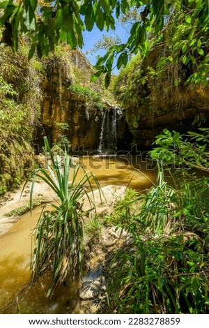 Small rain forest waterfall, pure unattached nature, beautiful Isalo national park. Unattached Madagascar wilderness landscape with lagoon. Stockfoto © 