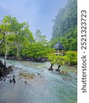 Small rapids flow through the mangrove forest in a blur background of a mountain from behind 