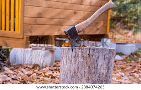 A small, rather heavy ax stuck in a stump for chopping wood. There are many fallen leaves lying around.A stump, a steel ax stuck in it, against the background of a small wooden house (a woodshed!?) .