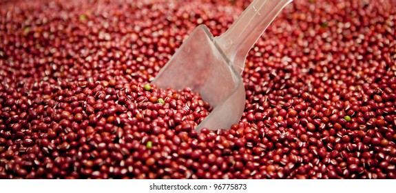 small red  beans