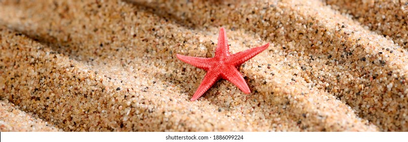 Small Red Sea Star On The Sandy Beach. Natural Sand Background, Pattern, Texture, Wallpaper. Concept Still Life. Tourism, Summer Vacations, Relaxation, Positive Vibes. Panoramic Image, Copy Space