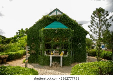 A small café and restaurant with a natural style, featuring a building covered in ivy. A true haven for coffee lovers. - Powered by Shutterstock