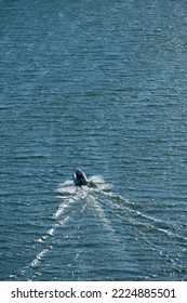 Small Rib Boat Cruising On A Fjord.